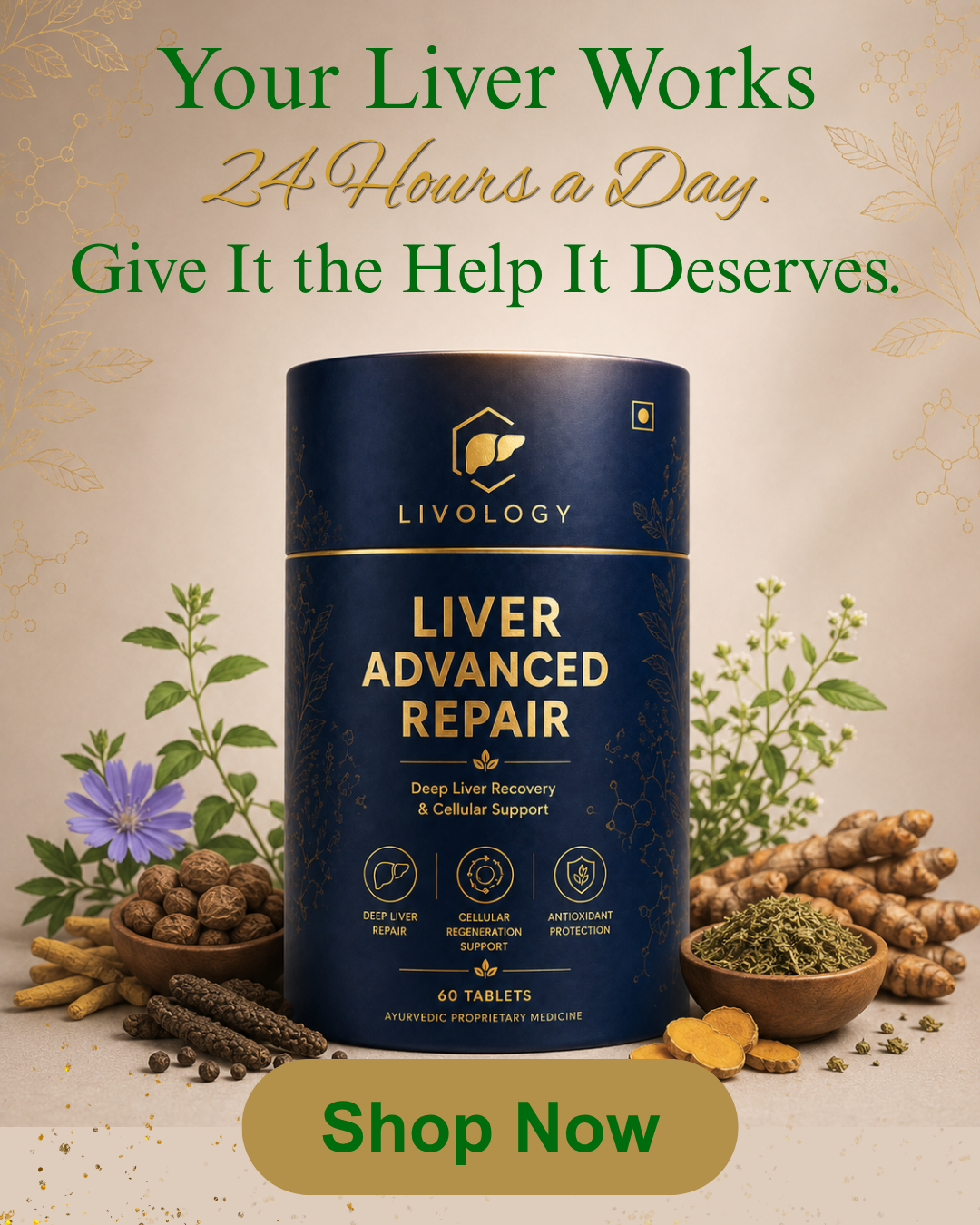 Livology Liver Advanced Repair – Ayurvedic Liver Detox Tablets for Fatty Liver, Digestion & Energy Support